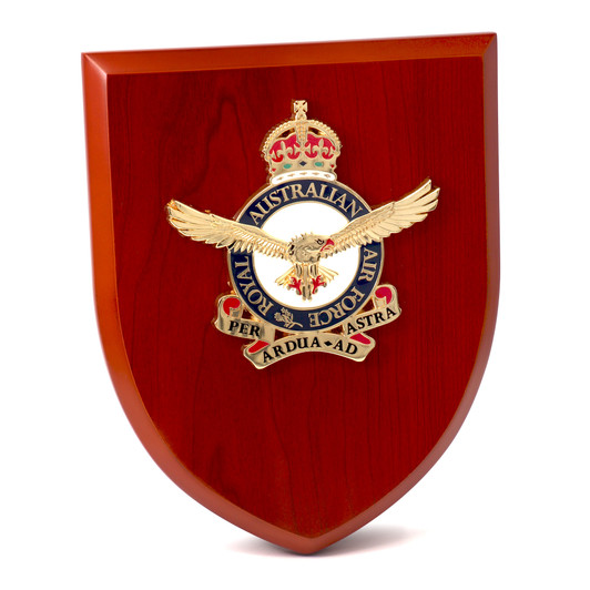 Air Force Plaque CIIIR