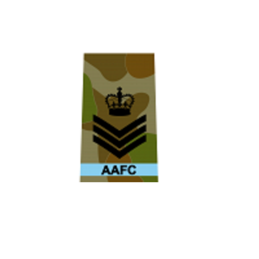 AAFC Cadet Flight Sergeant (CFSGT) Service Dress Rank Slide - Air Force ...