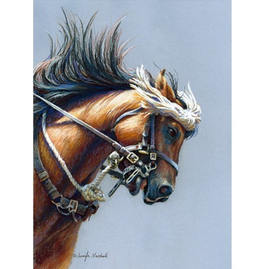 Waler With Flyveil Canvas Print 55 x 40 Phantasia is a Waler, a descendant of the horses bred in Australia for the Indian army before WWI and the Australian army during WWI and up to WWII. She is fortunate for she is the mount of a caring a