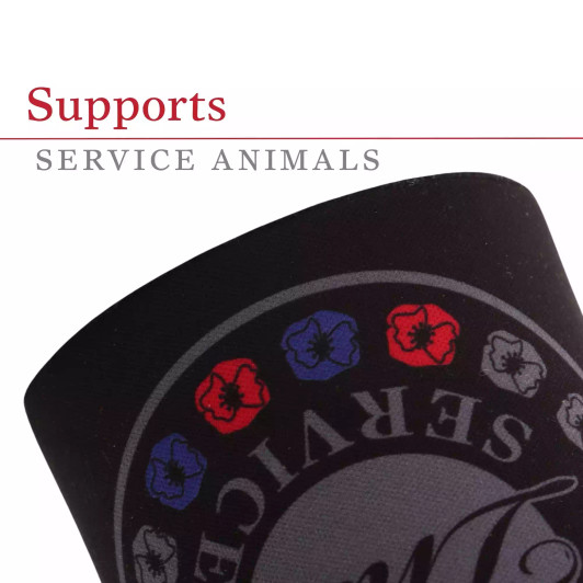 Remember Their Service Red & Purple Poppy Drink Cooler