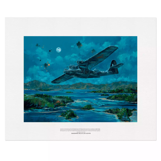 Catalina Limited Edition Canvas Artwork by Drew Harrison 600 x 450