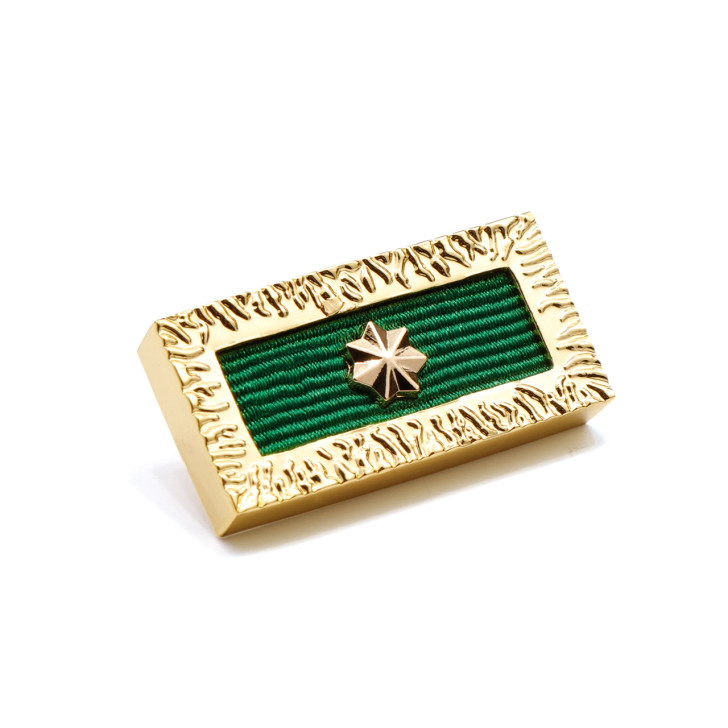 Unit Citation for Gallantry With Star