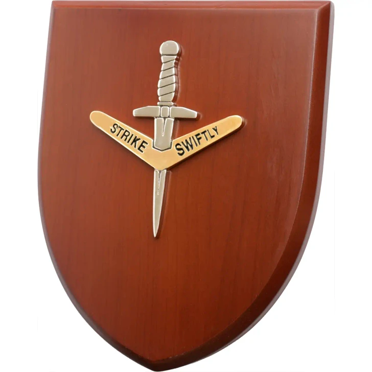 1 CDO REGT Plaque
