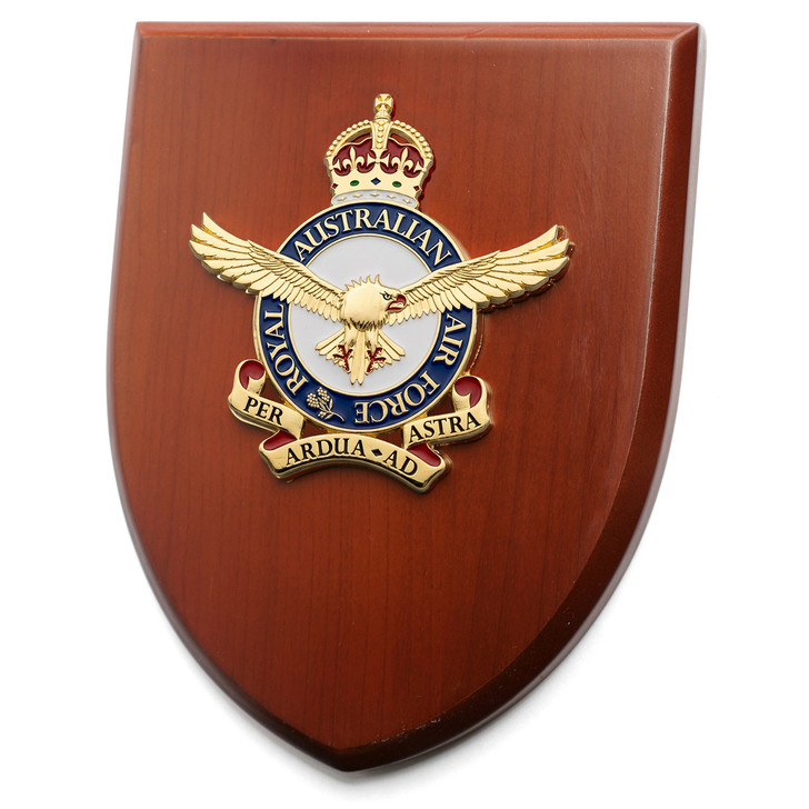 Air Force Plaque CIIIR Image 0