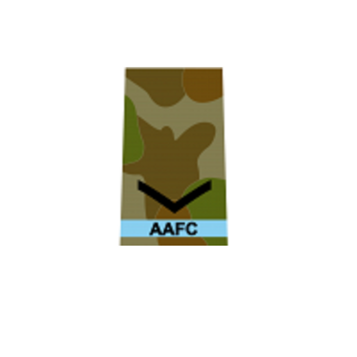 AAFC Leading Cadet (LCDT) Disruptive Pattern Uniform Rank Sl AAFC Leading Cadet (LCDT) Disruptive Pattern Uniform Rank Sl AAFC Leading Cadet (LCDT) Disruptive Pattern Uniform Rank Slide Pair, Order now from the military specialists