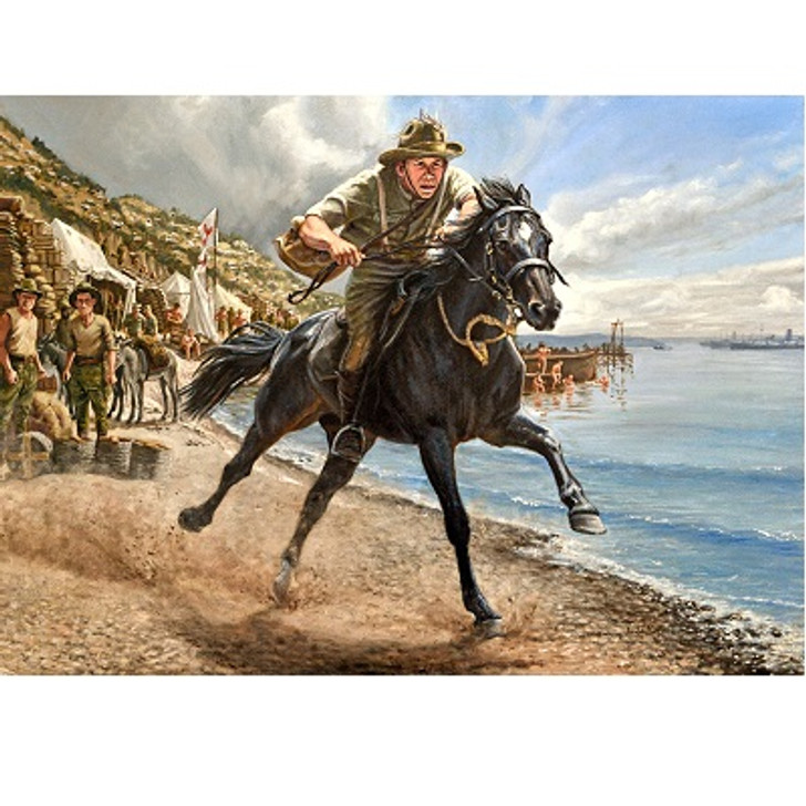 Despatch Rider Gallipoli Print 28.7 x 40 Despatch Rider Gallipoli Print 28.7 x 40 This despatch rider has just urged his mount into a gallop, as he leaves the shoreline activity and relative safety of Anzac Cove, to brave a hail of bullets over the six mile gallop to Suvla Bay. His