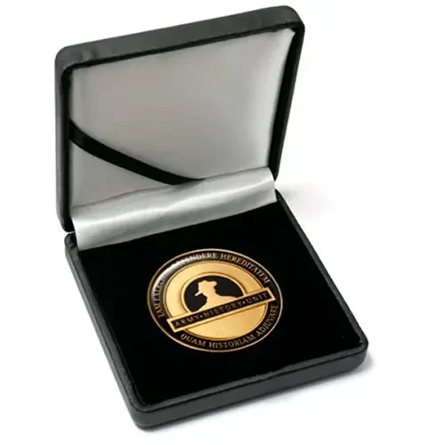 Army History Unit Medallion In Case