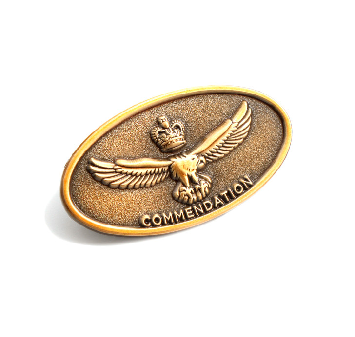 Air Force Commendation Gold Air Force Commendation Gold