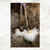 Porcupine Quill Earrings with Seed Beads & Mink