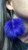 Purple rabbit Pom Poms