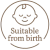 Prudence Bear - Medium