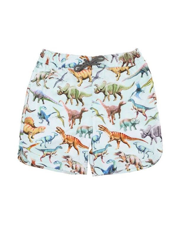 Rex Print Board Shorts