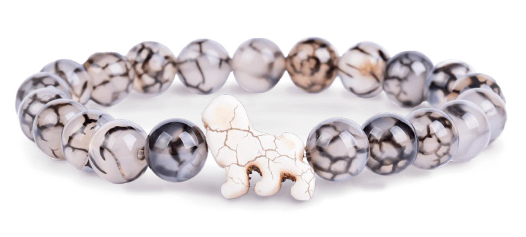 FAHLO Wildlife Tracking Bracelets - Lion Excursion Bracelet