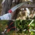 Tijeras y serrucho de poda para distintos grosores de ramas