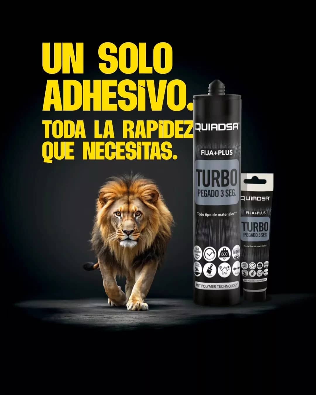 Quiadsa Fija+Plus Turbo