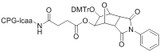 UnyLinker™  CPG, DMT-ON, 1000A, 1 gram