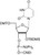 rU-TBDMS Phosphoramidite