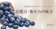 記憶力・集中力の味方～医師が注目するブルーベリーパワー