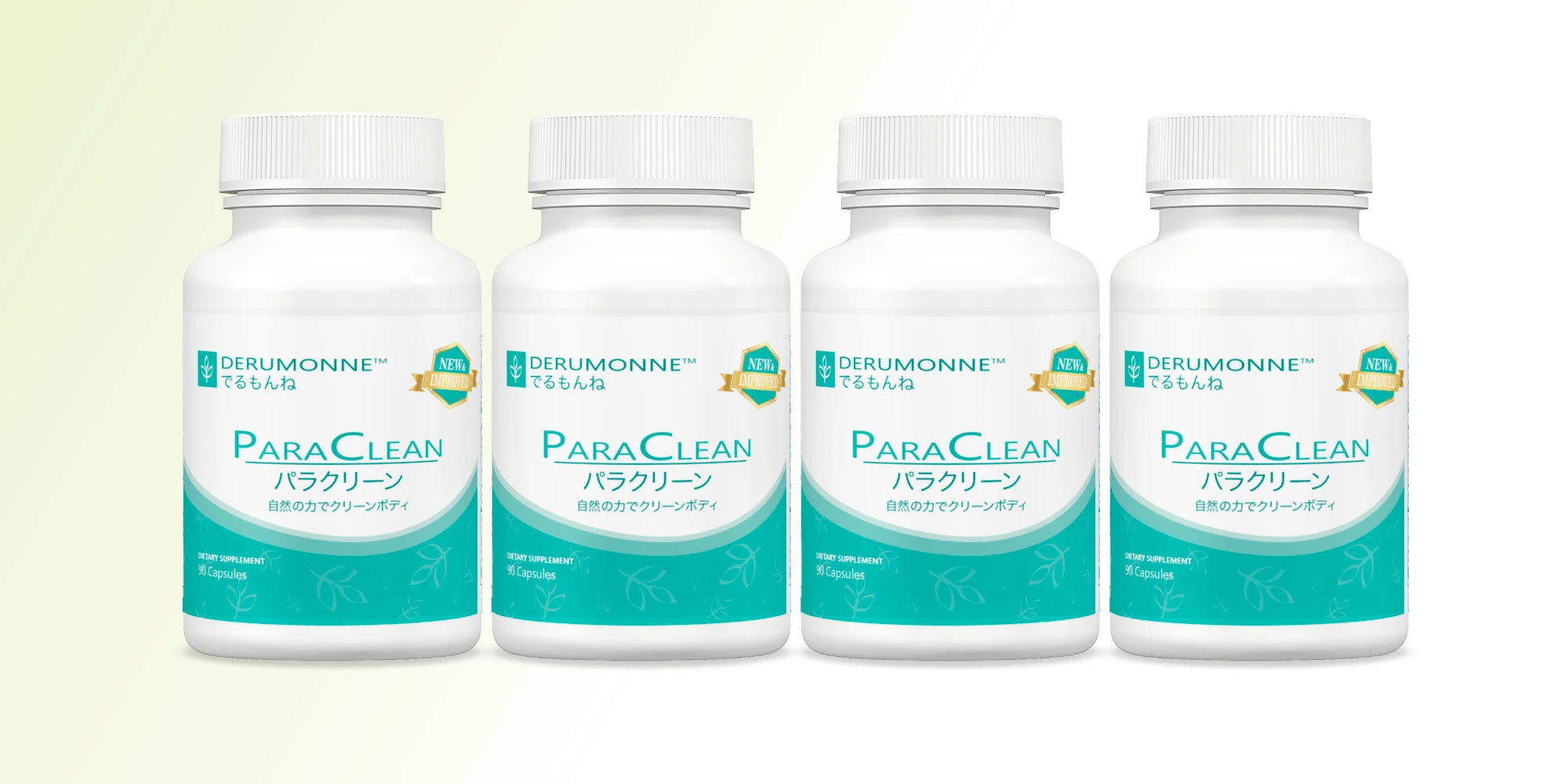 パラクリーン4セーブセット