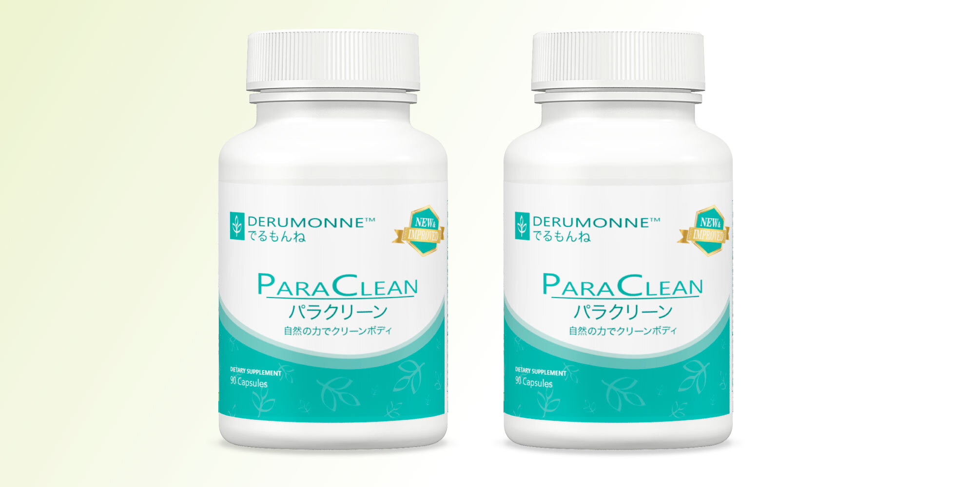 パラクリーン2セーブセット