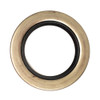 OIL SEAL (NATL 450099)