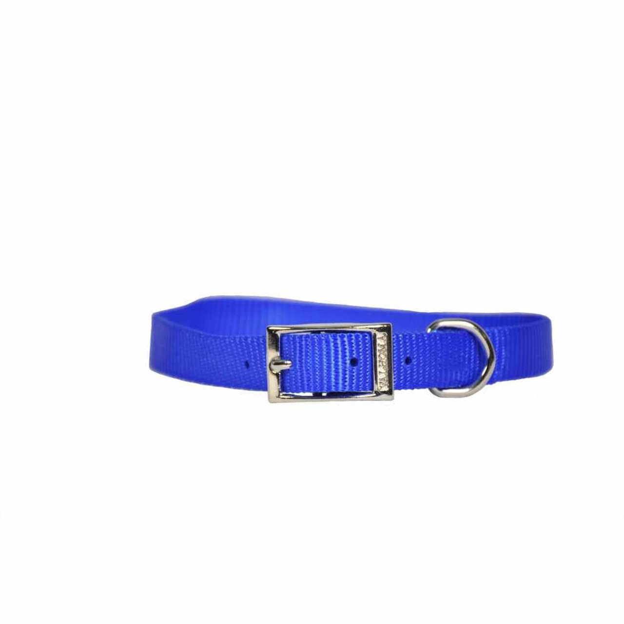 DOG COLLAR, SINGLE LAYER NYLON, BLUE 5/8" X  14"