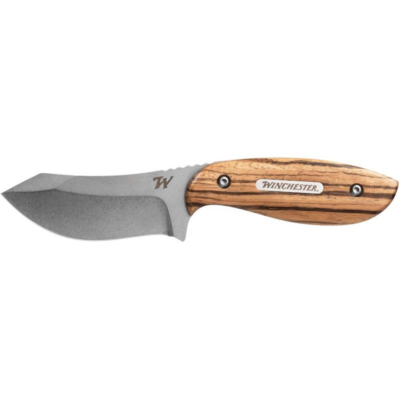 Winchester Barrens 3.3 In. Stainless Steel Fixed Blade Knife
