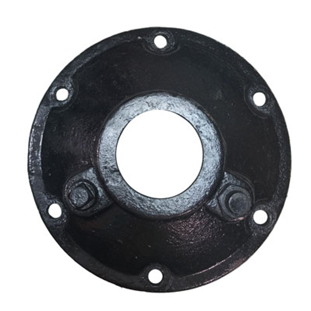 Input Cap (12-19102)
