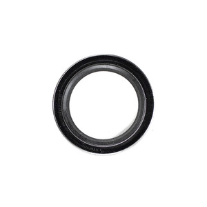 OIL SEAL (NATL 476838, CR 11171)