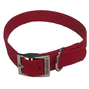 DOG COLLAR, SINGLE LAYER NYLON, RED  5/8" X  10"