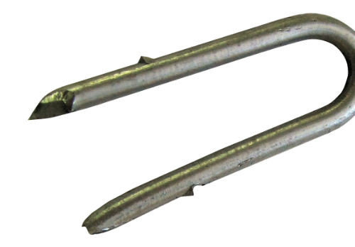 DARE Galvanized Barbed Staples (50ct Bag)