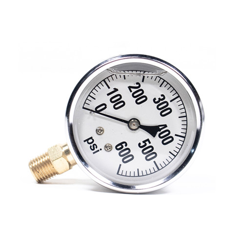 0-600# Liquid Filled Gauge Stainless Steel 2.5 X 1/4