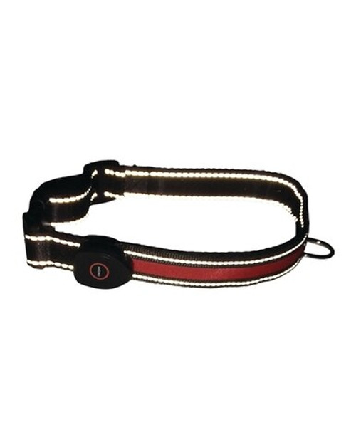 Small LED Dog Collar (Black & Red) Small LED Dog Collar (Black & Red)