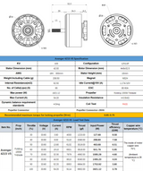 Motor BrotherHobby Avenger 4215 V5 390KV