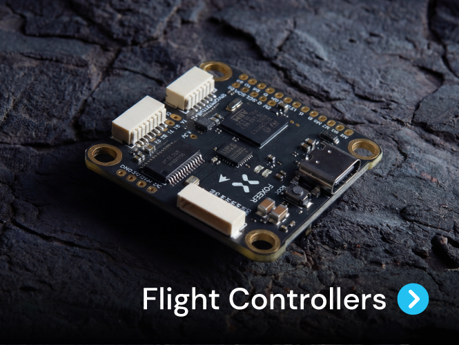 flight controllers