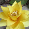 Easter lily paper flower. 