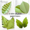 Crease leaf, Slit leaf, Vein leaf, Fan leaf