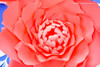 Peony Rose Template - Giant Paper Rose Flower Template