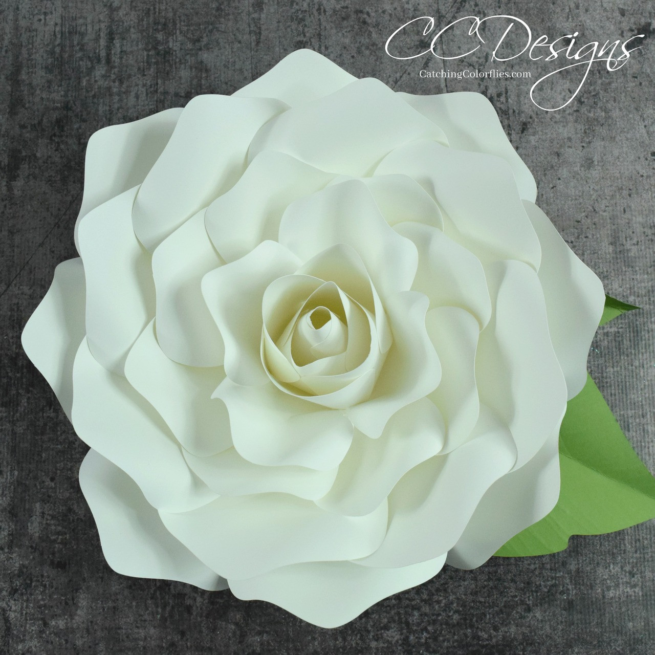 Download Gardenia Rose Giant Flower Template Catching Colorflies
