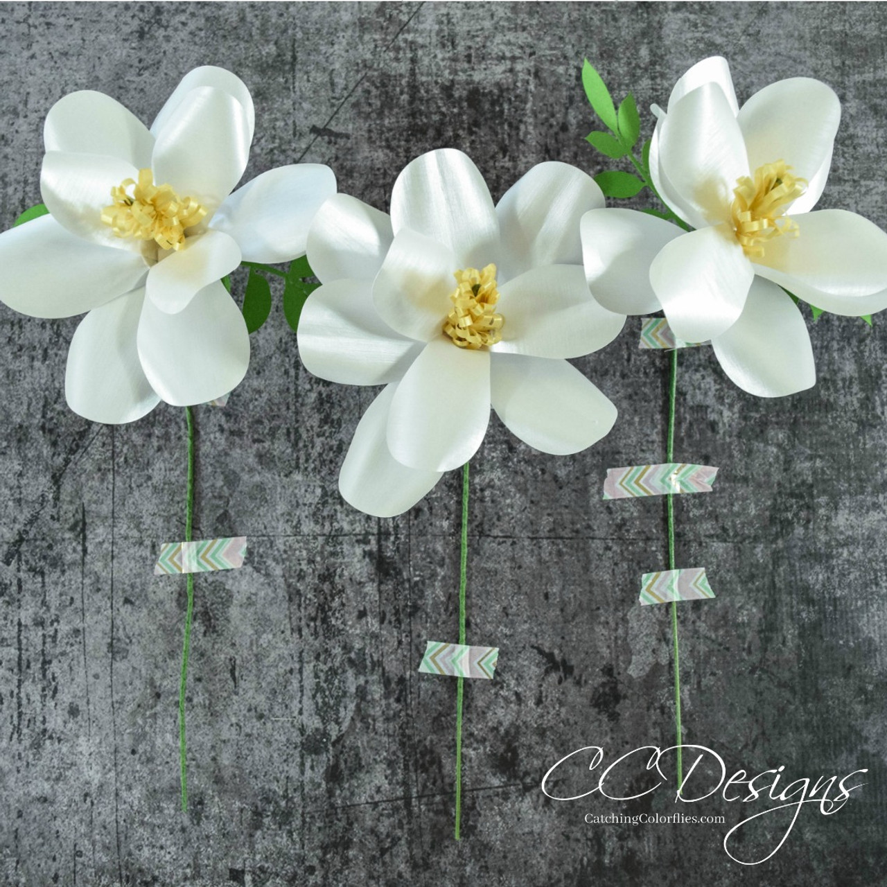 southern magnolia paper flower template catching colorflies