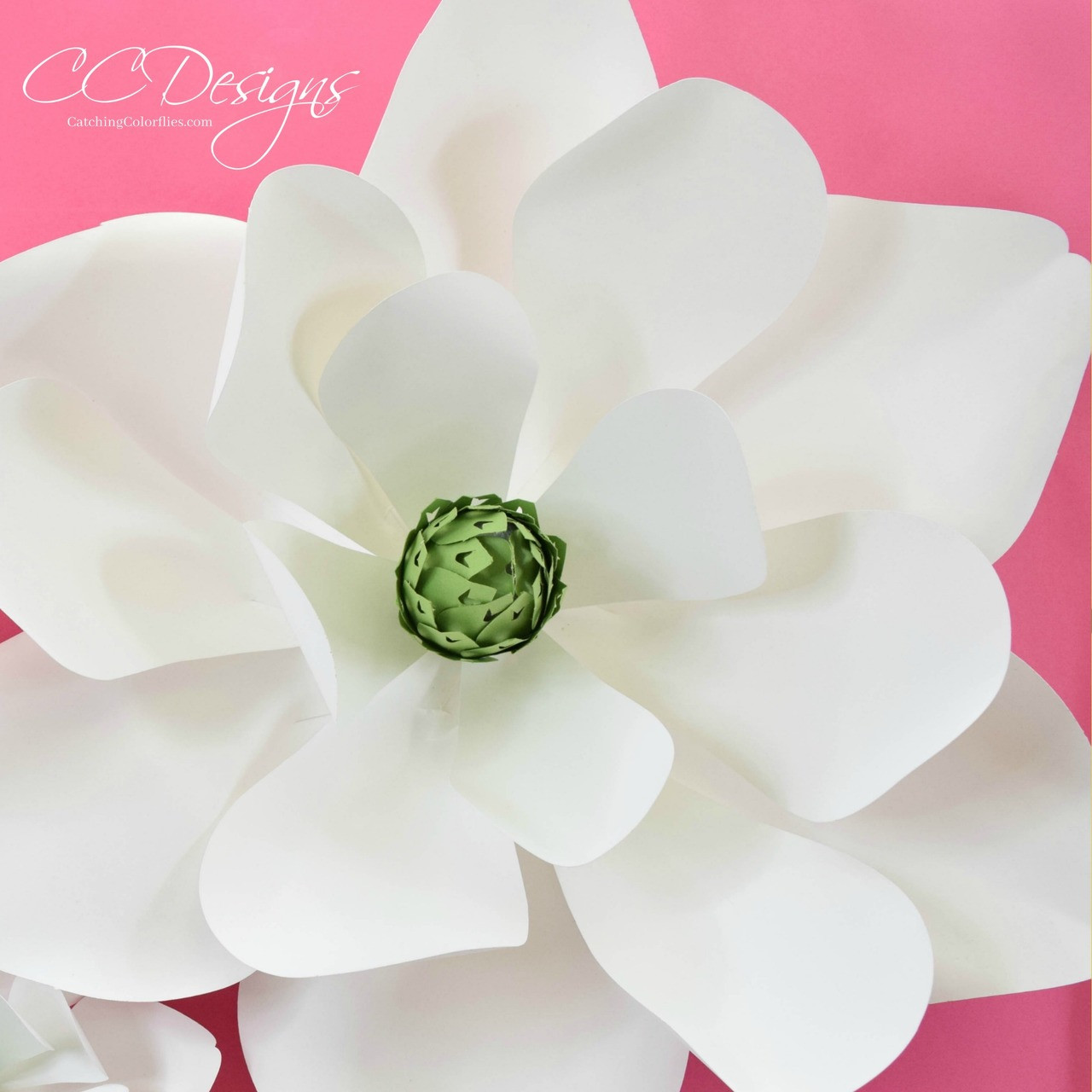 giant paper magnolia templates catching colorflies