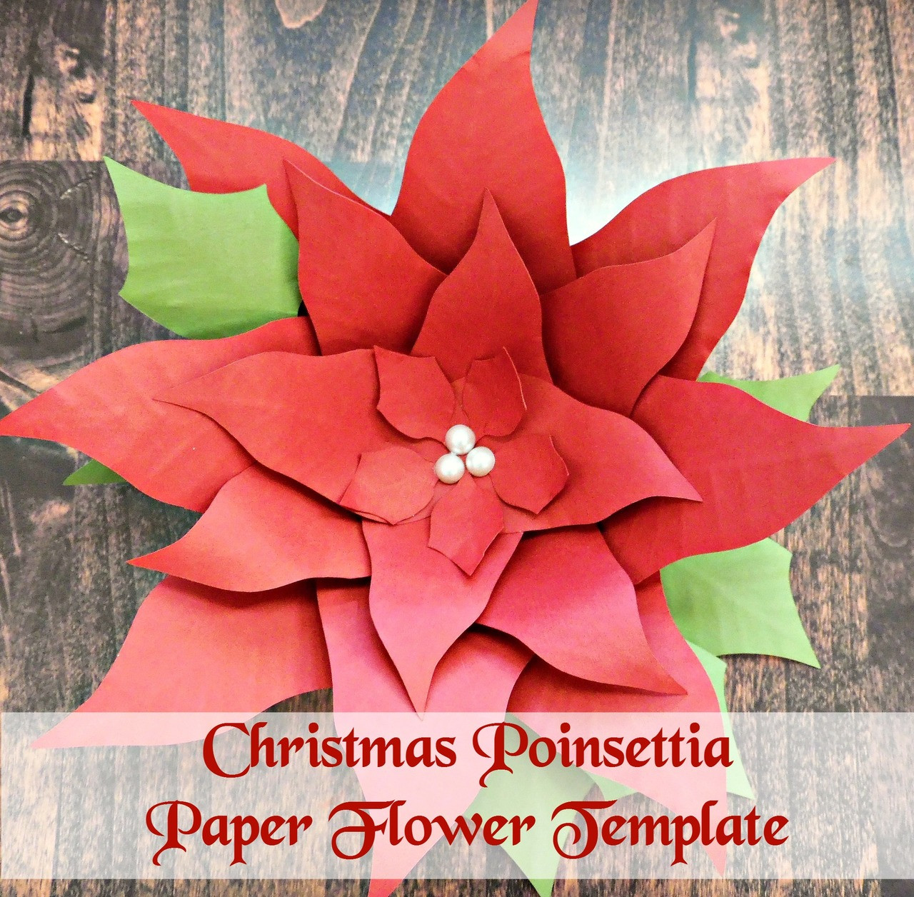 3D Paper Star Templates DIY Paper Star Craft SVG & PDF Template