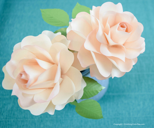 My favourite flower rose essay in english My favourite flower rose essay in english picture