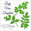 Leafy Vine Set, Leaf SVG Template