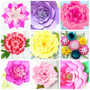 Giant Paper Flower Template Library Bundle - SET OF 60+ Templates