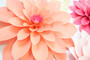 Giant Dahlia Flower Template - Emma Style