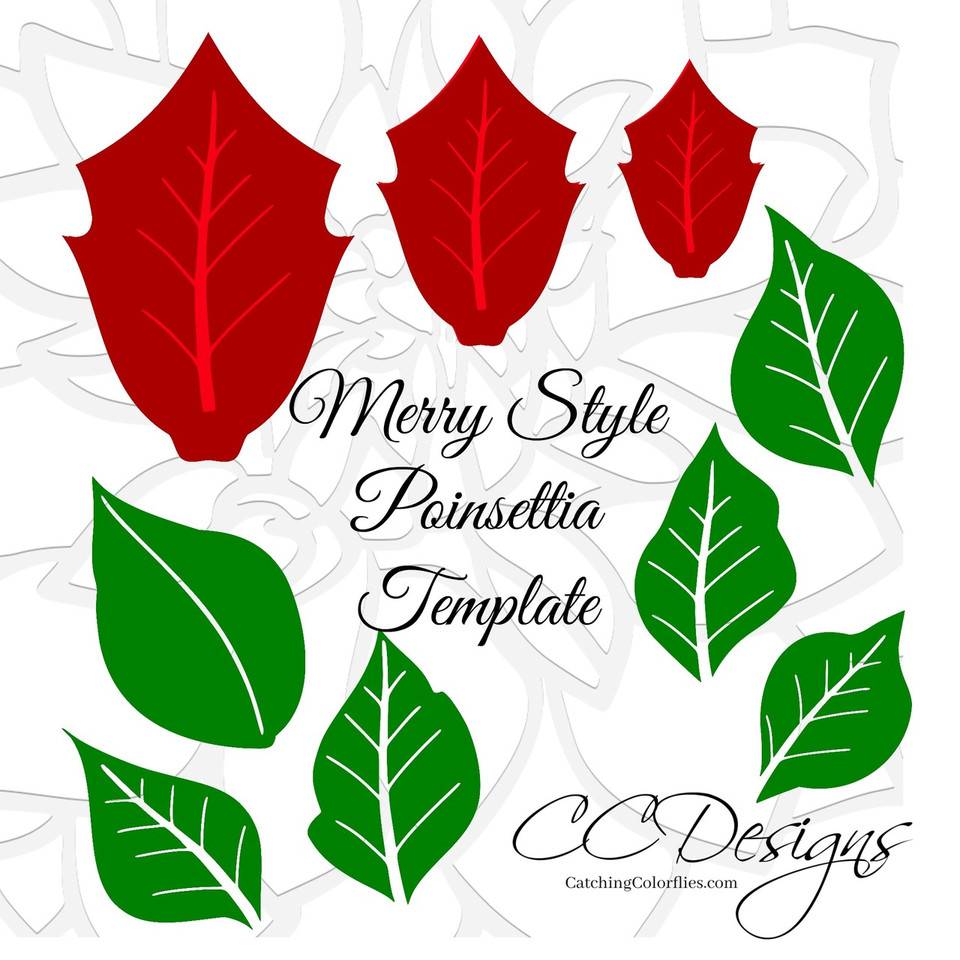 Poinsettia Flower Template Catching Colorflies