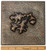 Copper Tile (TL341-6x6) Acorn Design Copper Tile (TL341-6x6) Acorn Design