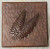 Copper Tile (TL327) Fern Leaves Design