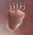 Copper Tile (TL320) Bear Claw Design